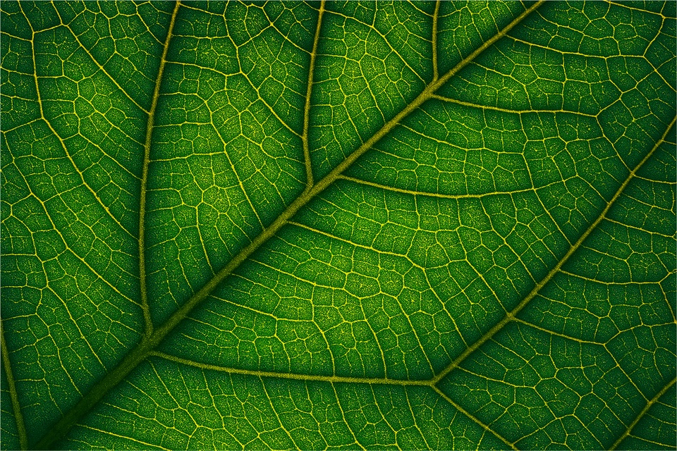 Why “Finance x Strategies for the New Climate Era”? cover